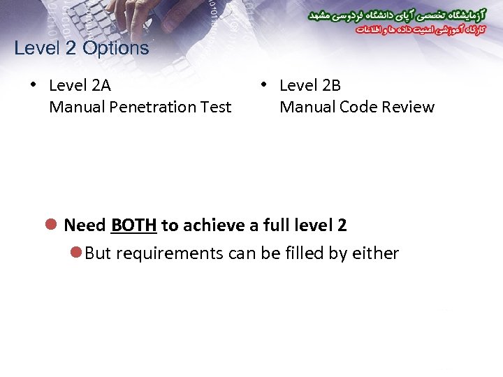 Level 2 Options • Level 2 A Manual Penetration Test • Level 2 B