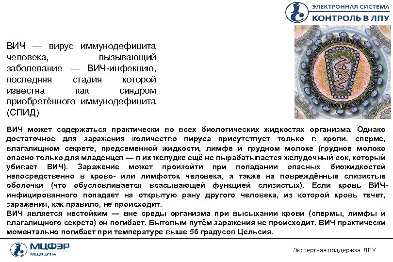 ВИЧ — вирус иммунодефицита человека, вызывающий заболевание — ВИЧ-инфекцию, последняя стадия которой известна как