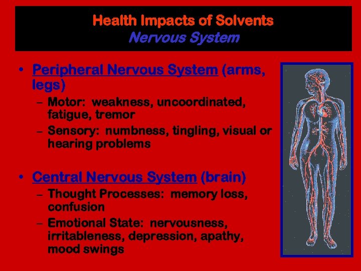 Health Impacts of Solvents Nervous System • Peripheral Nervous System (arms, legs) – Motor: