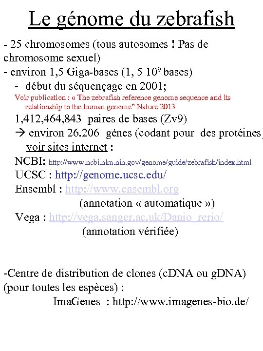 Le génome du zebrafish - 25 chromosomes (tous autosomes ! Pas de chromosome sexuel)