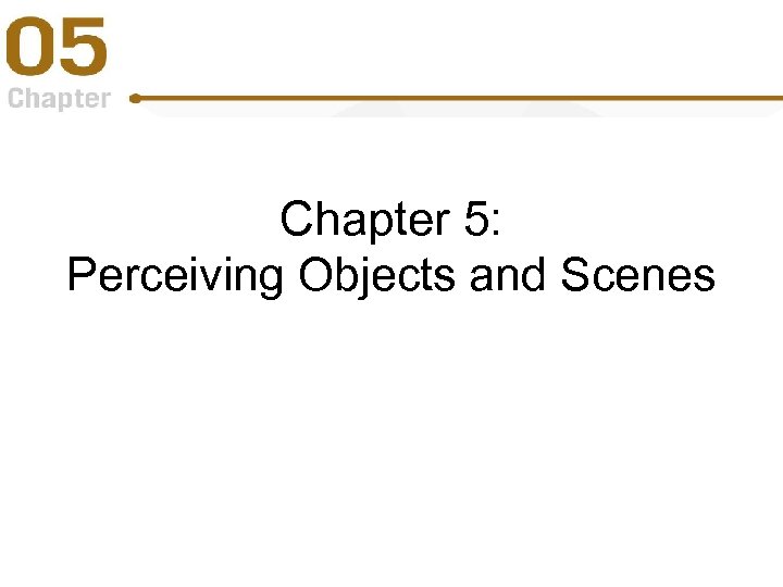 Chapter 5: Perceiving Objects and Scenes 