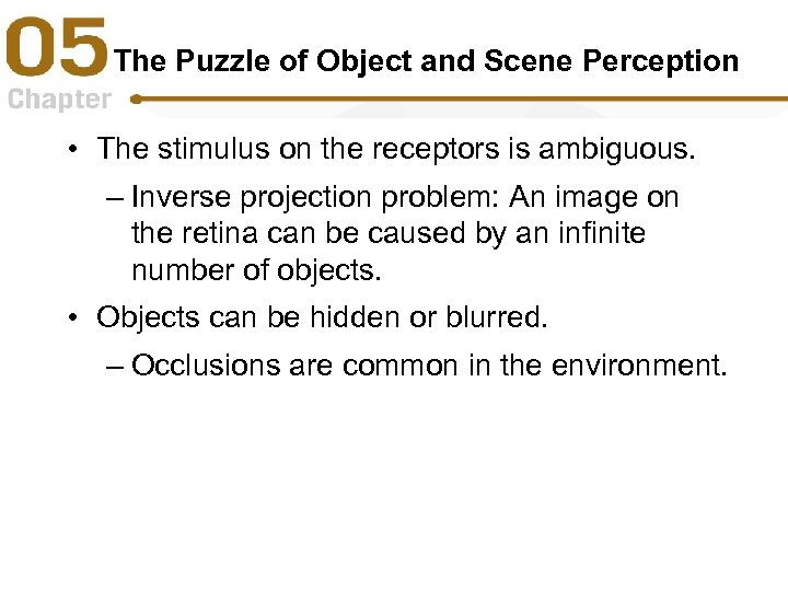 The Puzzle of Object and Scene Perception • The stimulus on the receptors is