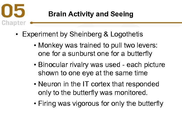Brain Activity and Seeing • Experiment by Sheinberg & Logothetis • Monkey was trained