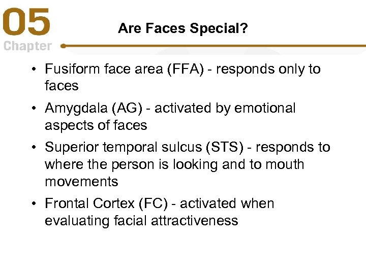 Are Faces Special? • Fusiform face area (FFA) - responds only to faces •