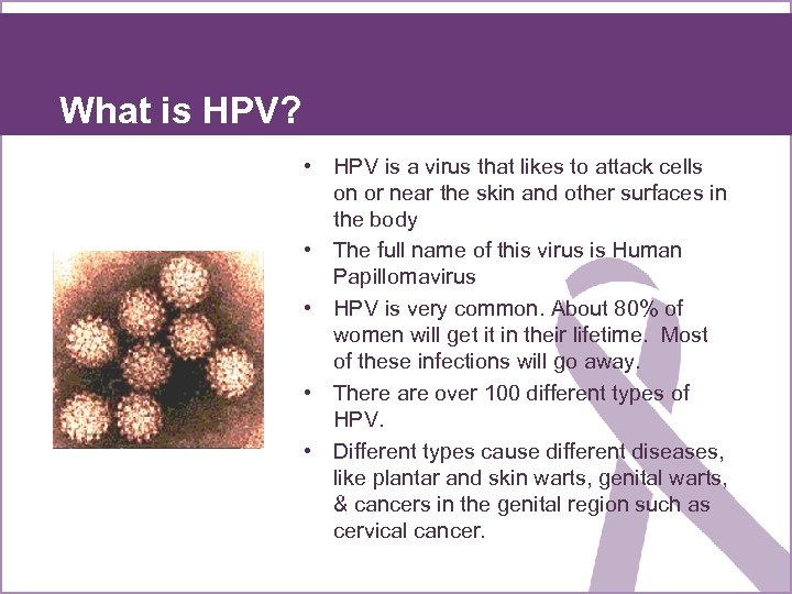 What is HPV? • HPV is a virus that likes to attack cells on