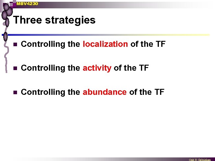 MBV 4230 Three strategies n Controlling the localization of the TF n Controlling the