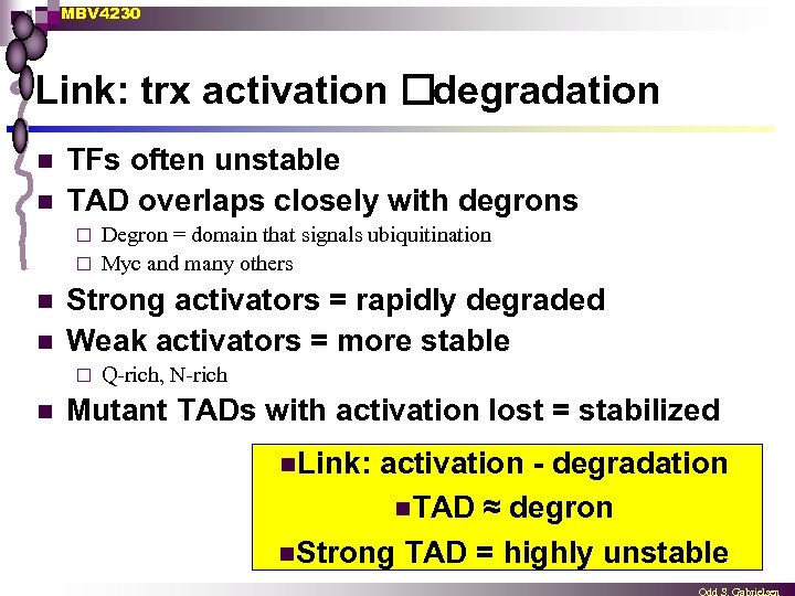 MBV 4230 Link: trx activation degradation n n TFs often unstable TAD overlaps closely