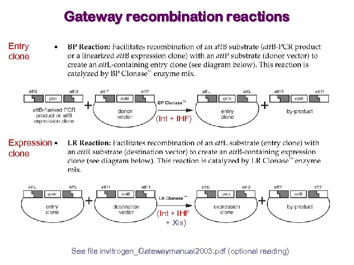 Gateway recombination reactions Entry clone (Int + IHF) Expression clone (Int + IHF +