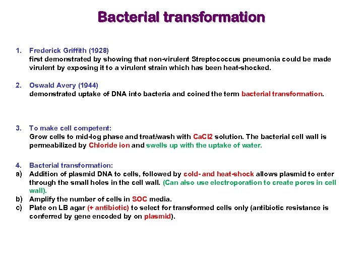 Bacterial transformation 1. Frederick Griffith (1928) first demonstrated by showing that non-virulent Streptococcus pneumonia