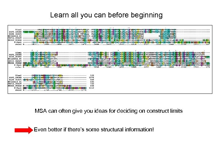 Learn all you can before beginning MSA can often give you ideas for deciding