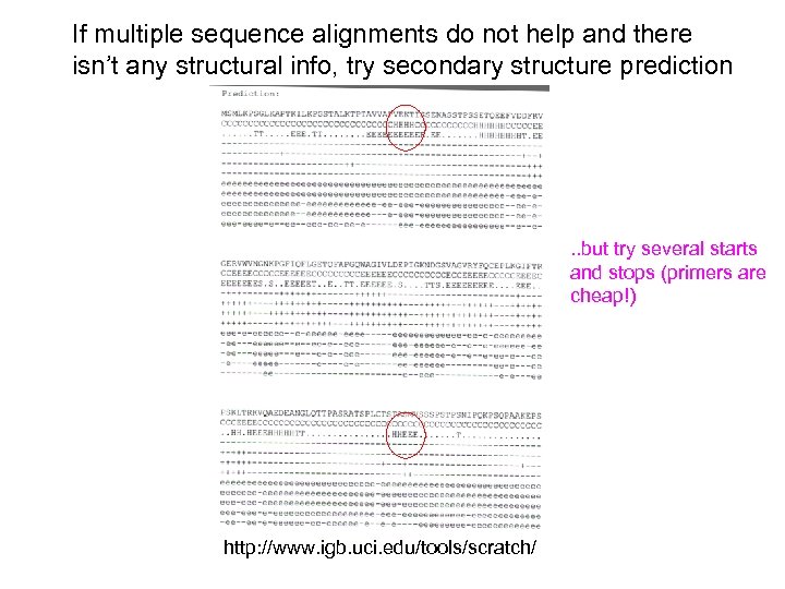 If multiple sequence alignments do not help and there isn’t any structural info, try