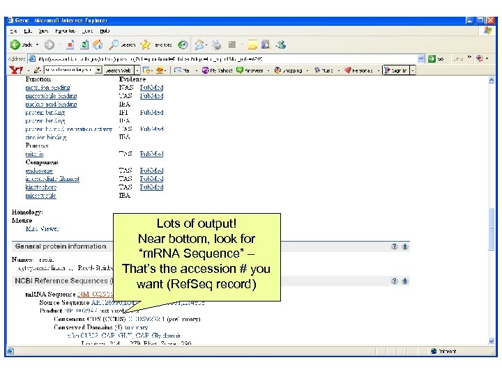 Lots of output! Near bottom, look for “m. RNA Sequence” – That’s the accession