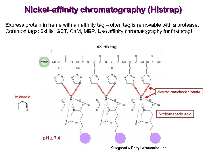 Nickel-affinity chromatography (Histrap) Express protein in frame with an affinity tag – often tag