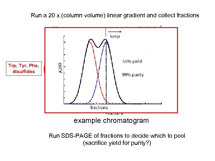 Run a 20 x (column volume) linear gradient and collect fractions 500 m. M