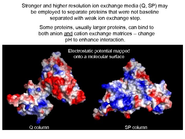 Stronger and higher resolution exchange media (Q, SP) may be employed to separate proteins