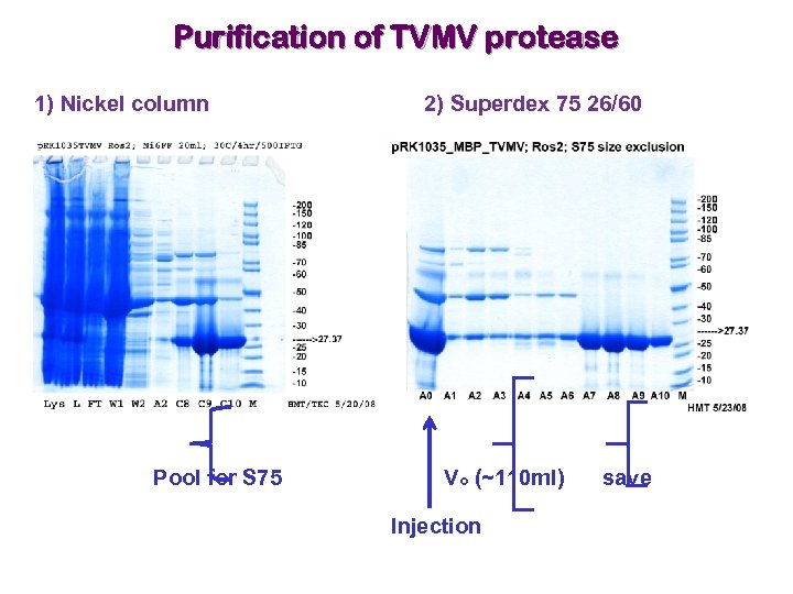 Purification of TVMV protease 1) Nickel column Pool for S 75 2) Superdex 75