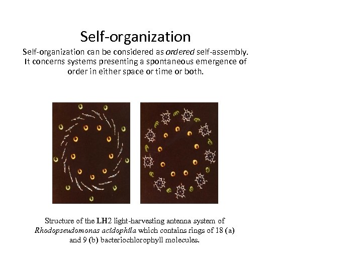 Self-organization can be considered as ordered self-assembly. It concerns systems presenting a spontaneous emergence