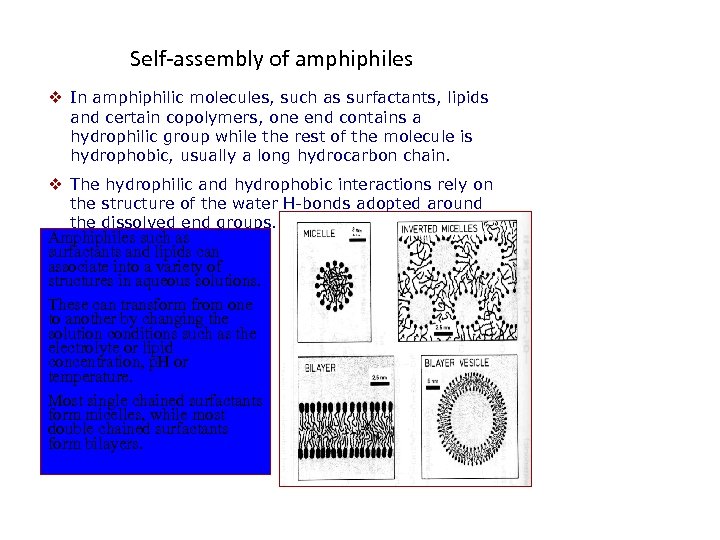 Self-assembly of amphiphiles v In amphiphilic molecules, such as surfactants, lipids and certain copolymers,