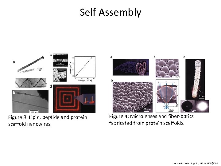Self Assembly Figure 3: Lipid, peptide and protein scaffold nanowires. Figure 4: Microlenses and