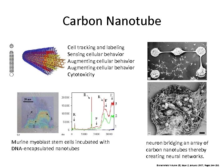 Carbon Nanotube Cell tracking and labeling Sensing cellular behavior Augmenting cellular behavior Cytotoxicity Murine