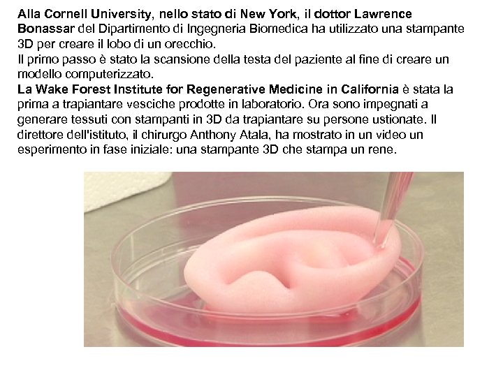 Alla Cornell University, nello stato di New York, il dottor Lawrence Bonassar del Dipartimento