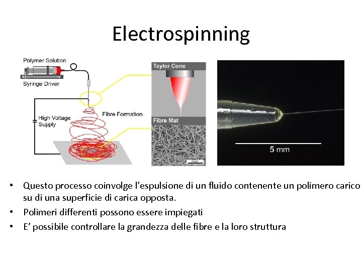 Electrospinning • Questo processo coinvolge l’espulsione di un fluido contenente un polimero carico su