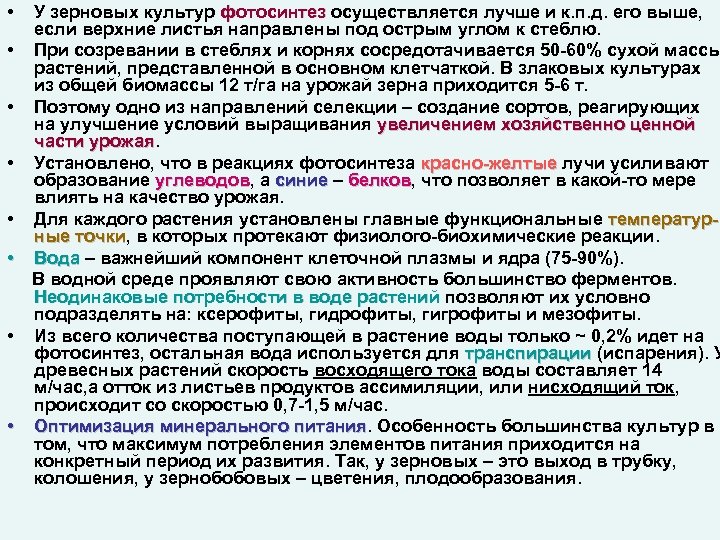  • У зерновых культур фотосинтез осуществляется лучше и к. п. д. его выше,