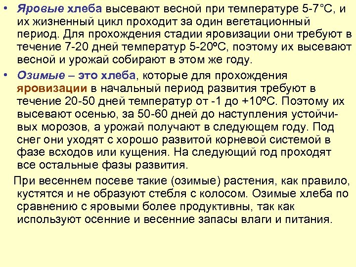  • Яровые хлеба высевают весной при температуре 5 -7°С, и их жизненный цикл