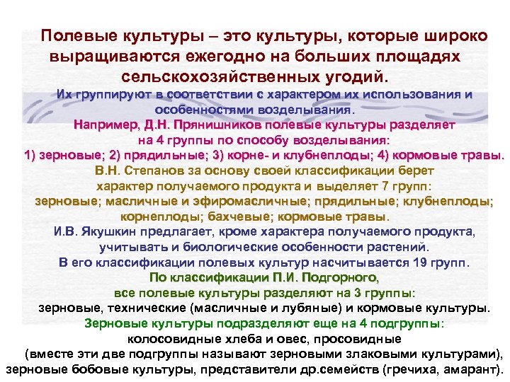 Полевые культуры – это культуры, которые широко выращиваются ежегодно на больших площадях сельскохозяйственных угодий.