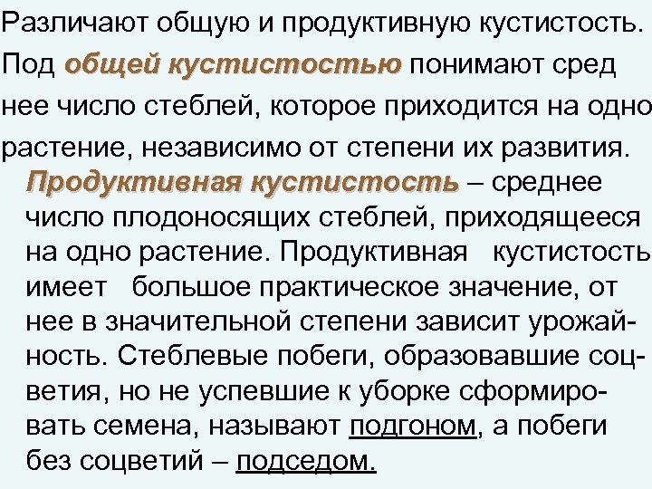 Различают общую и продуктивную кустистость. Под общей кустистостью понимают сред нее число стеблей, которое