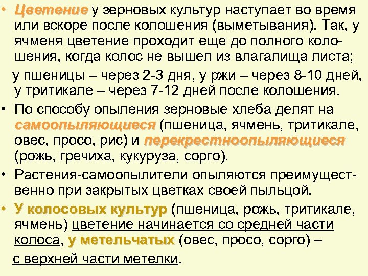  • Цветение у зерновых культур наступает во время или вскоре после колошения (выметывания).
