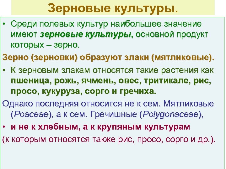 Зерновые культуры. • Среди полевых культур наибольшее значение имеют зерновые культуры, основной продукт которых