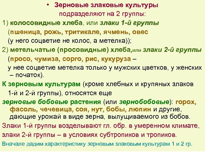  • Зерновые злаковые культуры подразделяют на 2 группы: 1) колосовидные хлеба, или злаки