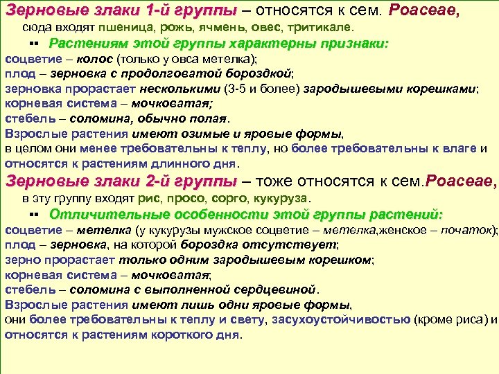 Зерновые злаки 1 -й группы – относятся к сем. Poaceae, сюда входят пшеница, рожь,
