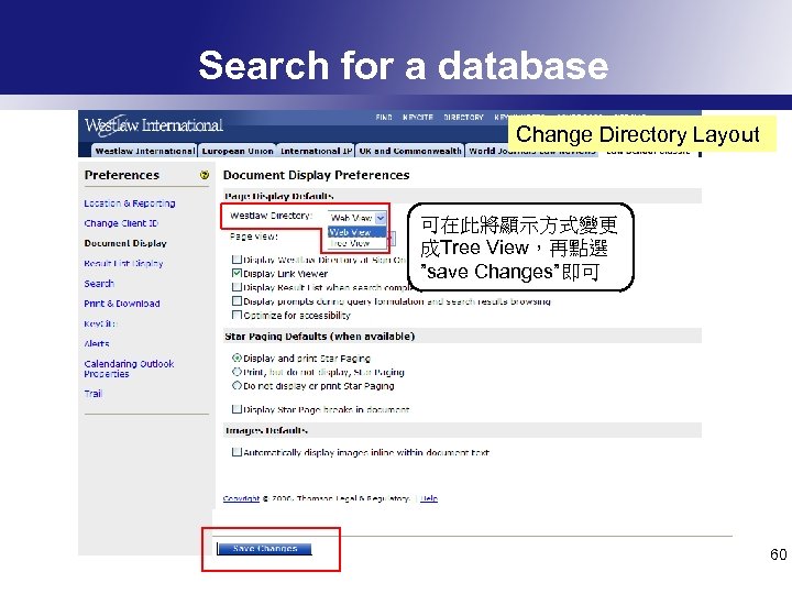 Search for a database Change Directory Layout 可在此將顯示方式變更 成Tree View，再點選 ”save Changes”即可 60 
