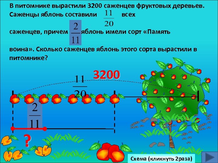 В питомнике вырастили 25700 саженцев деревьев: саженцев …