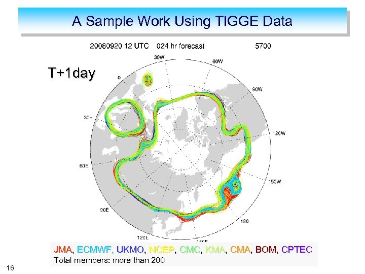 A Sample Work Using TIGGE Data T+1 day JMA, ECMWF, UKMO, NCEP, CMC, KMA,