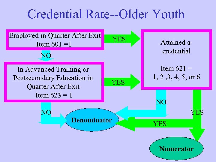 Credential Rate--Older Youth Employed in Quarter After Exit Item 601 =1 YES NO In