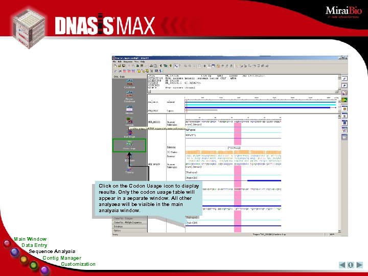 Click on the Codon Usage icon to display results. Only the codon usage table