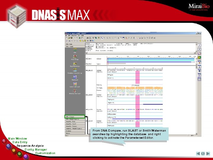 Main Window Data Entry Sequence Analysis Contig Manager Customization From DNA Compare, run BLAST