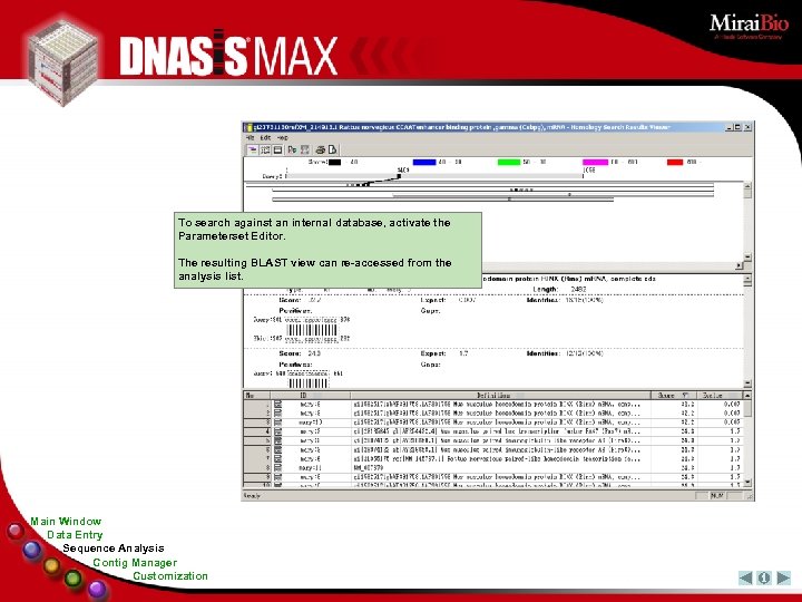 To search against an internal database, activate the Parameterset Editor. The resulting BLAST view