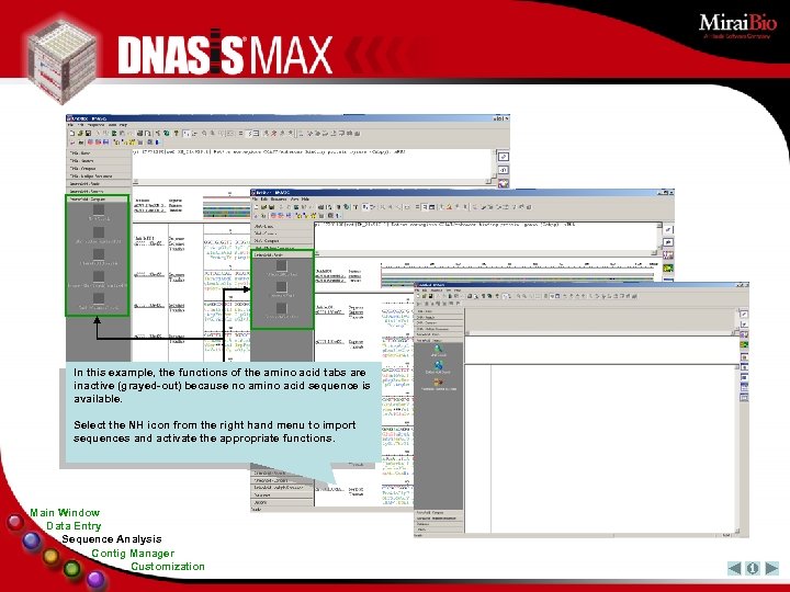 In this example, the functions of the amino acid tabs are inactive (grayed-out) because