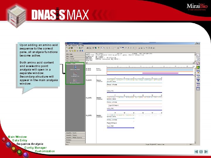 Upon adding an amino acid sequence to the correct pane, all analysis functions become