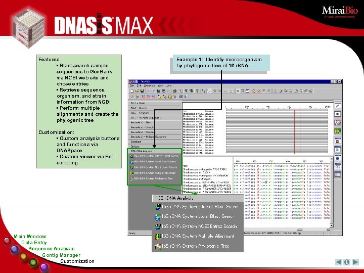 Features: • Blast search sample sequences to Gen. Bank via NCBI web site and