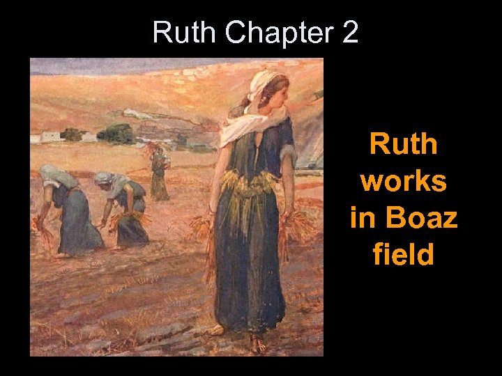 Ruth Chapter 2 Ruth works in Boaz field 