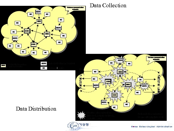Data Collection Data Distribution 