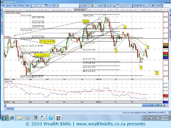 PLAT © 2010 Wealth Skills | www. wealthskills. co. za presents 