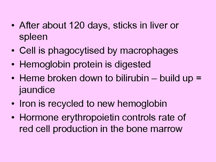  • After about 120 days, sticks in liver or spleen • Cell is