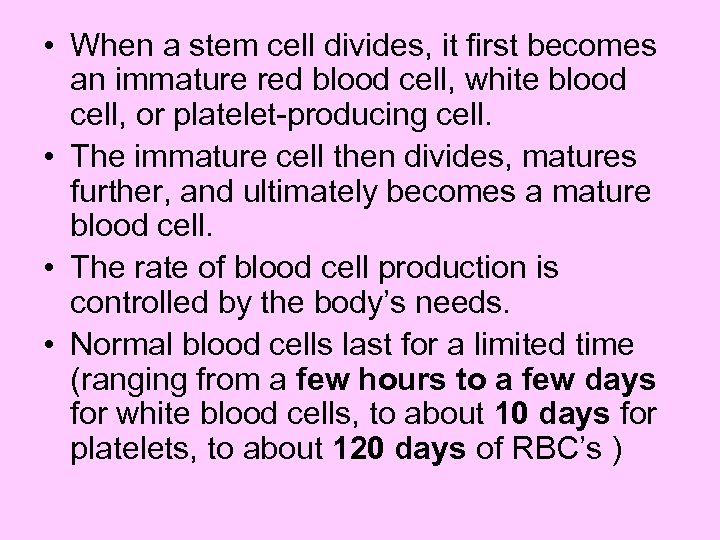  • When a stem cell divides, it first becomes an immature red blood