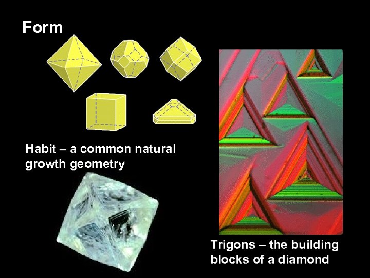 Form Habit – a common natural growth geometry Trigons – the building blocks of